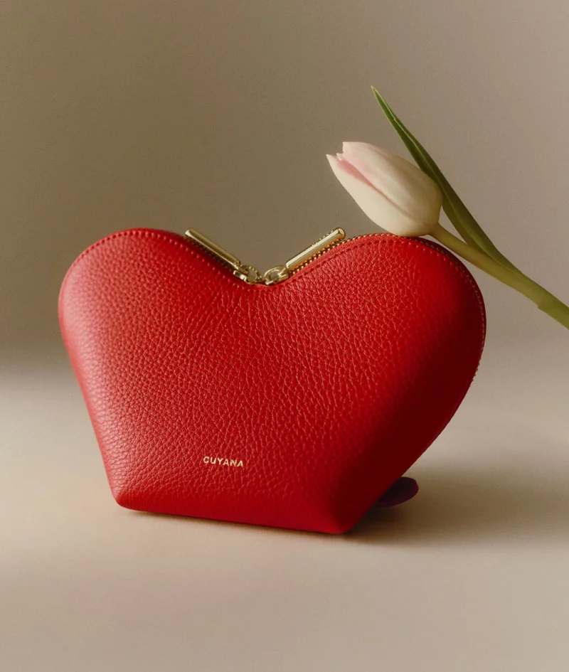 Mini Heart Case Red