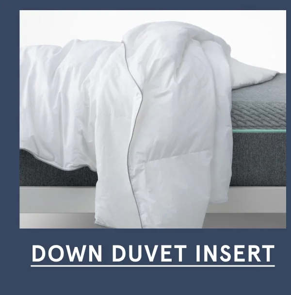 Down Duvet Insert