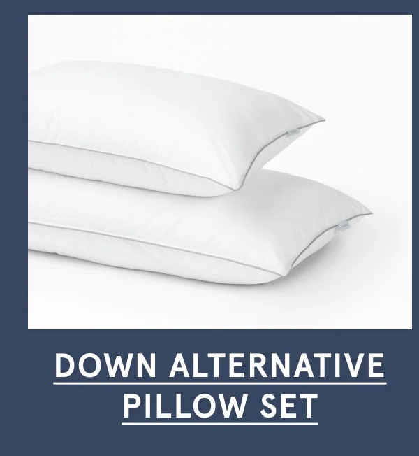 Down Alternative Pillow Set