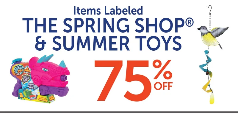 Spring Shop & Summer Toys