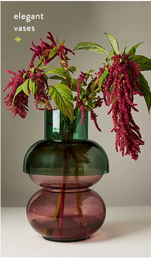 elegant vases