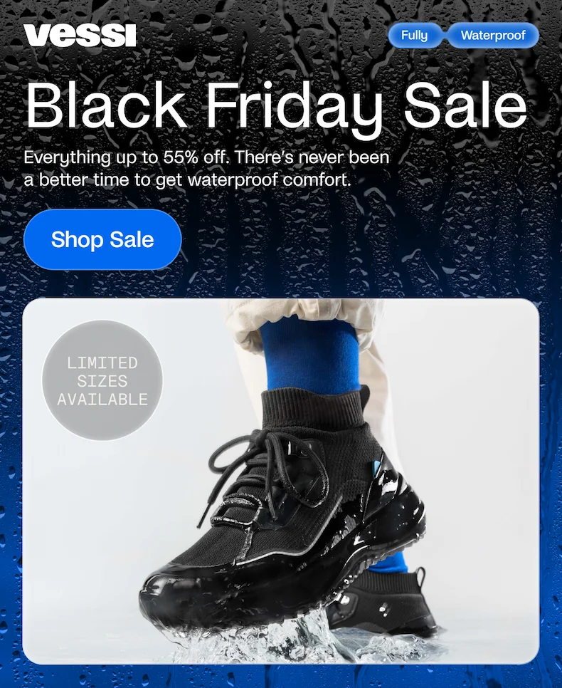 Black Friday Sale