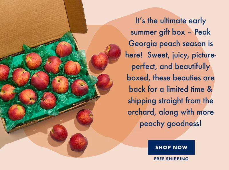 Shop Now Shop Now