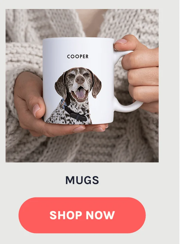 Shop Mugs