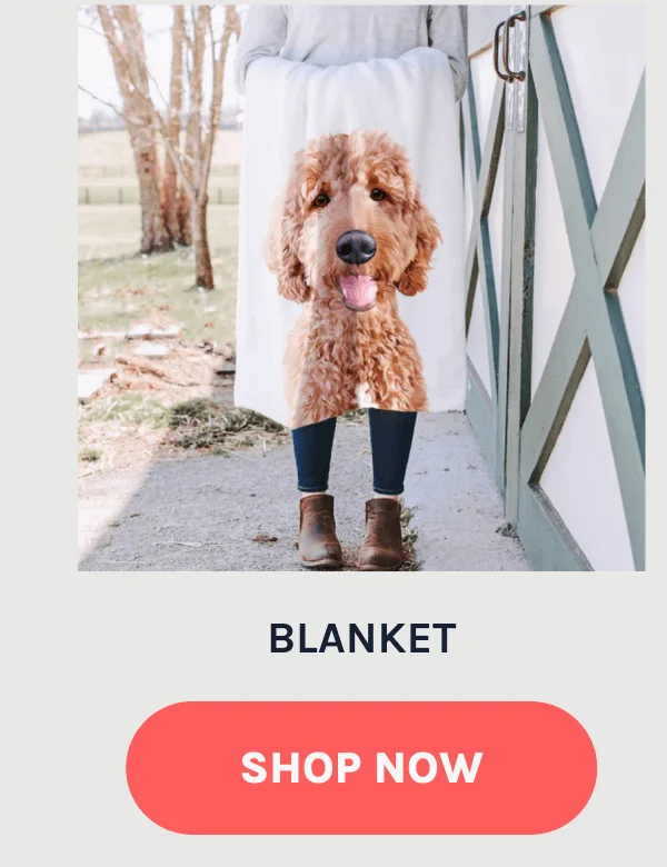 Shop Blankets