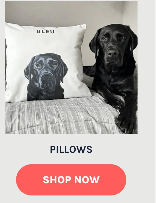 Shop Pillows