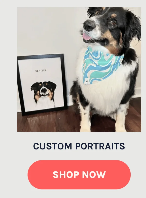 Shop Portraits