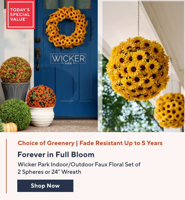 Wicker Park TSV