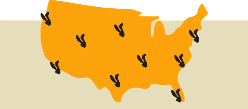 Find Rebel Rabbit Map
