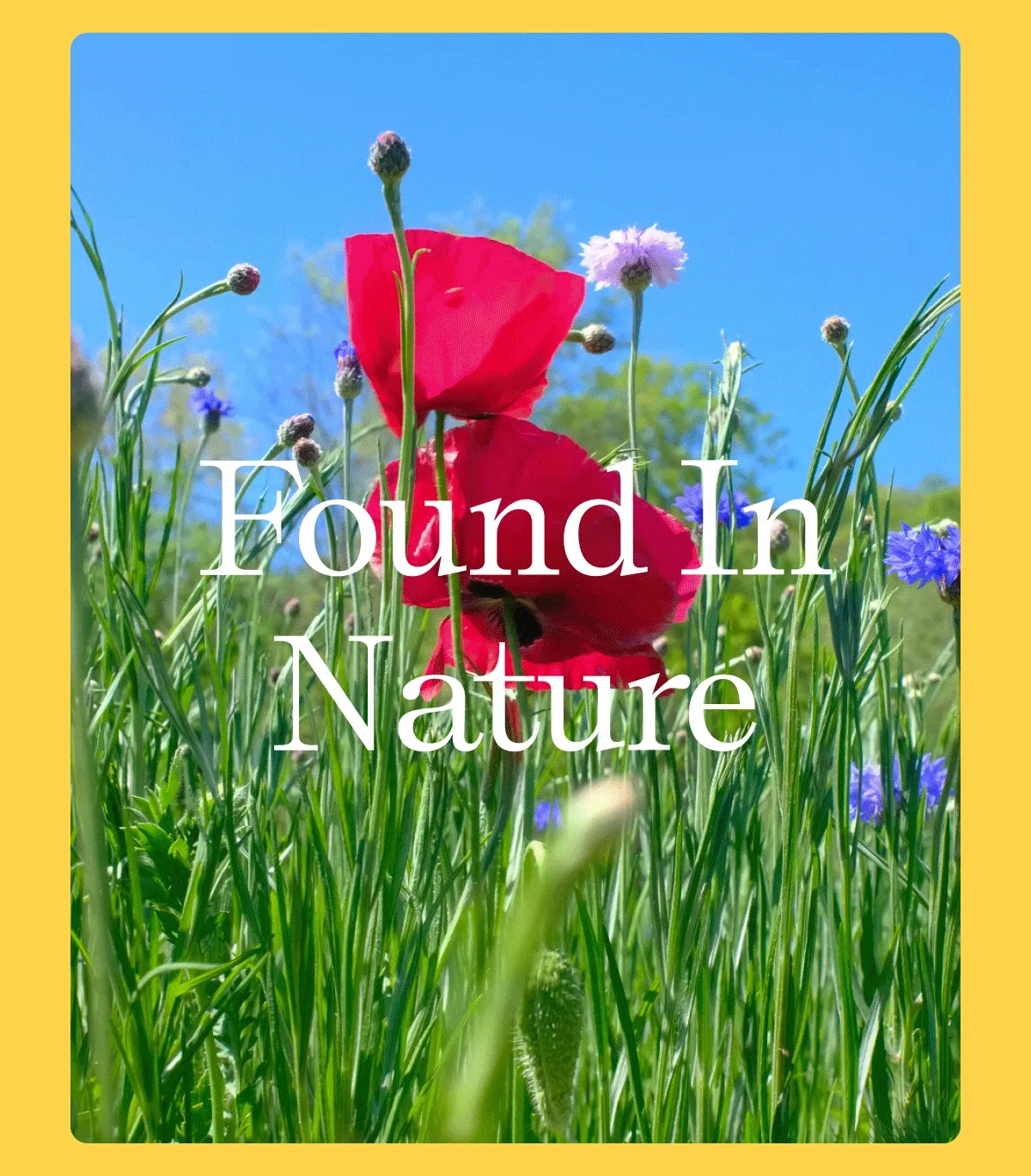 Found in Nature