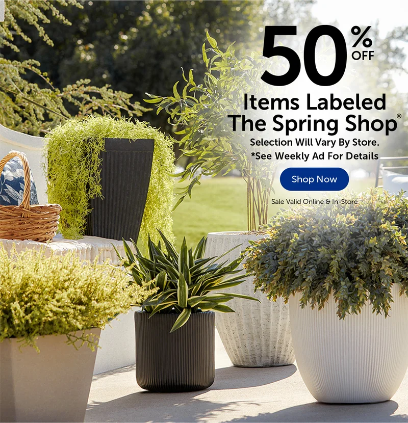 Spring Shop