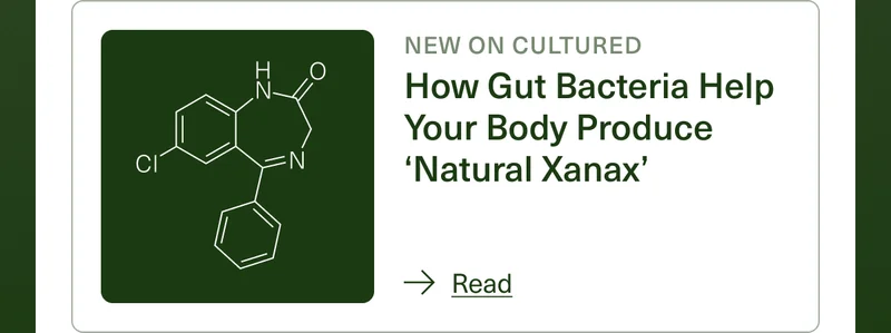 New on Cultured: How Gut Bacteria Help Your Body Produce ‘Natural Xanax’. Read