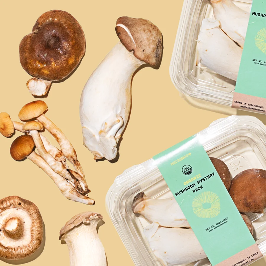 Mystery Mushrooms available at Misfits Market