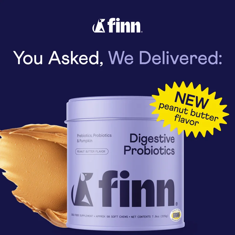 You Asked, We Delivered: NEW Peanut Butter Digestive Probiotics Flavor! Now available on Amazon