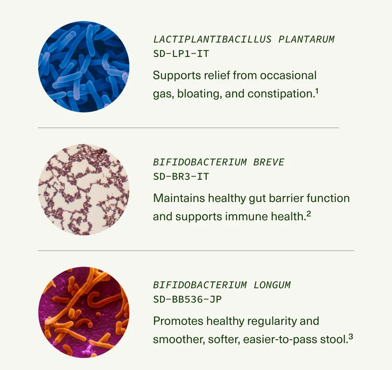 Lactiplantibacillus plantarum SD-LP1-IT Supports relief from occasional gas, bloating, and constipation.1 Bifidobacterium breve SD-BR3-IT Maintains healthy gut barrier function and supports immune health.2 Bifidobacterium longum SD-BB536-JP Promotes healthy regularity and smoother, softer, easier-to-pass stool.3