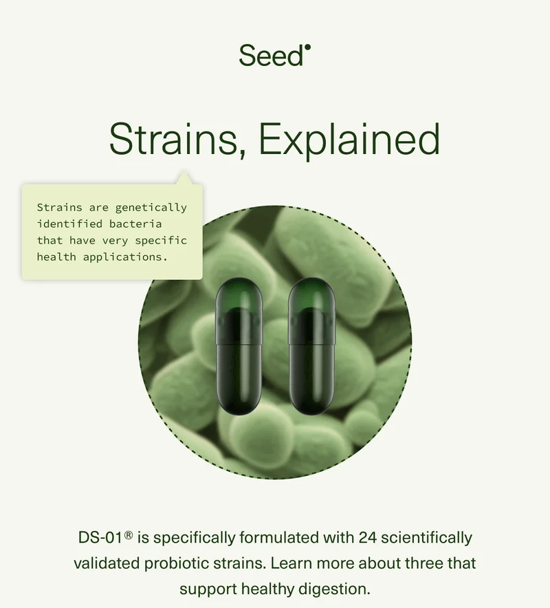 Strains, Explained Strains are genetically identified bacteria that have very specific health applications. DS-01® is formulated with 24 scientifically validated strains for a range of whole-body health benefits, learn more about three that specifically support healthy digestion.