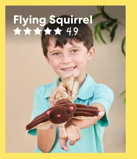 Flying Squirrel