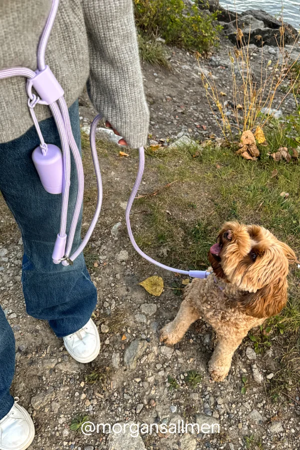 Lilac rope leash @morgansallmen