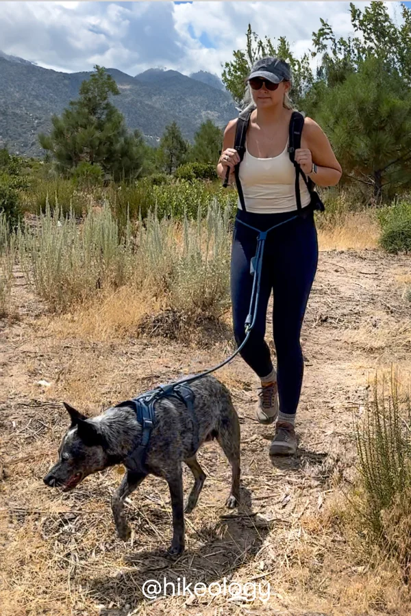 navy rope leash with harness