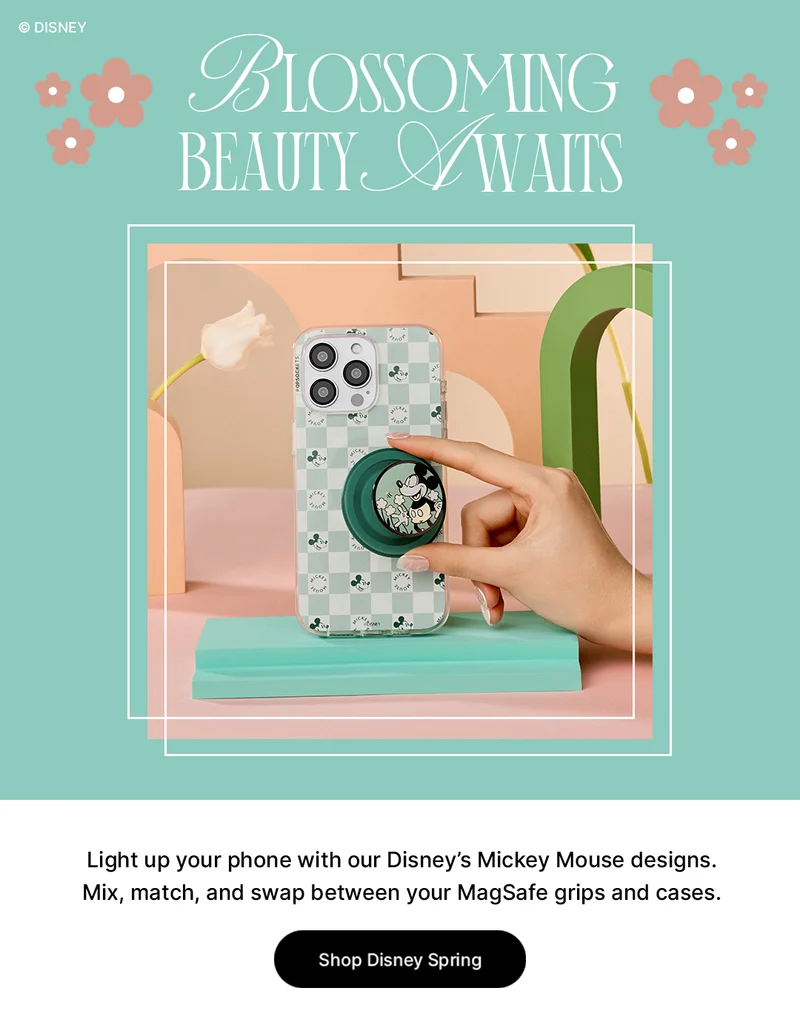 Disney Spring Collection