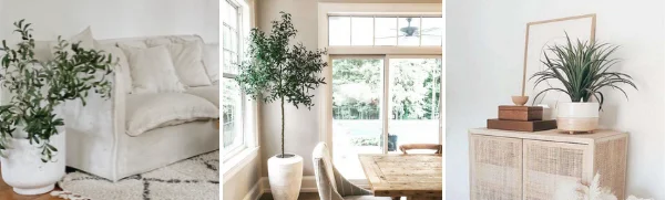 Artiplanto