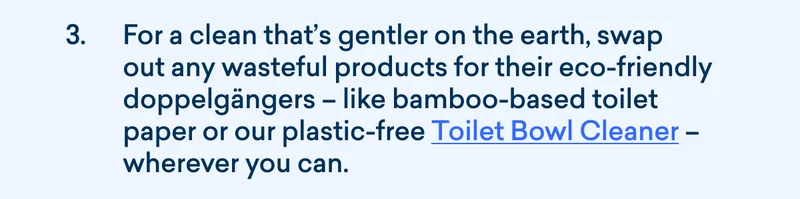 Toilet Bowl Cleaner