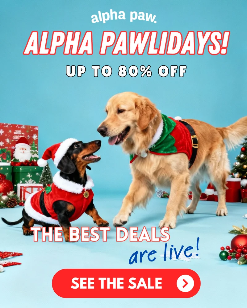 Alpha Pawlidays