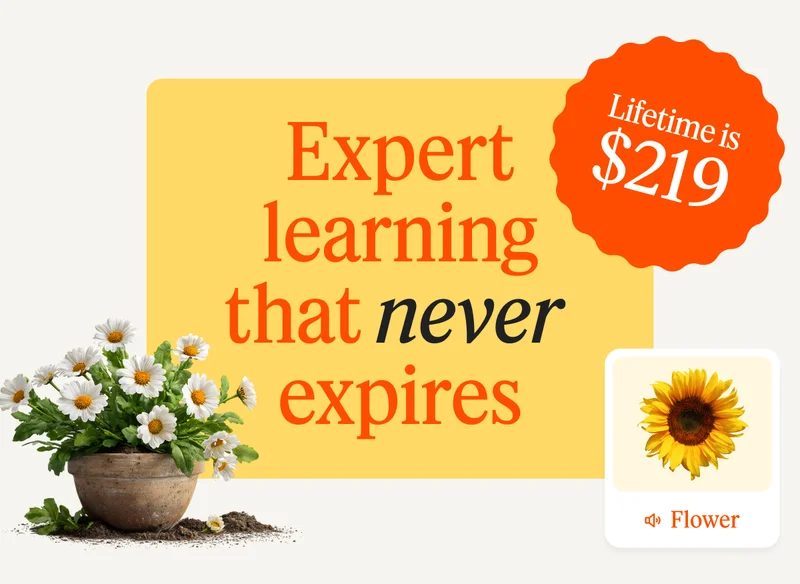 Expert Learning That Never Expires