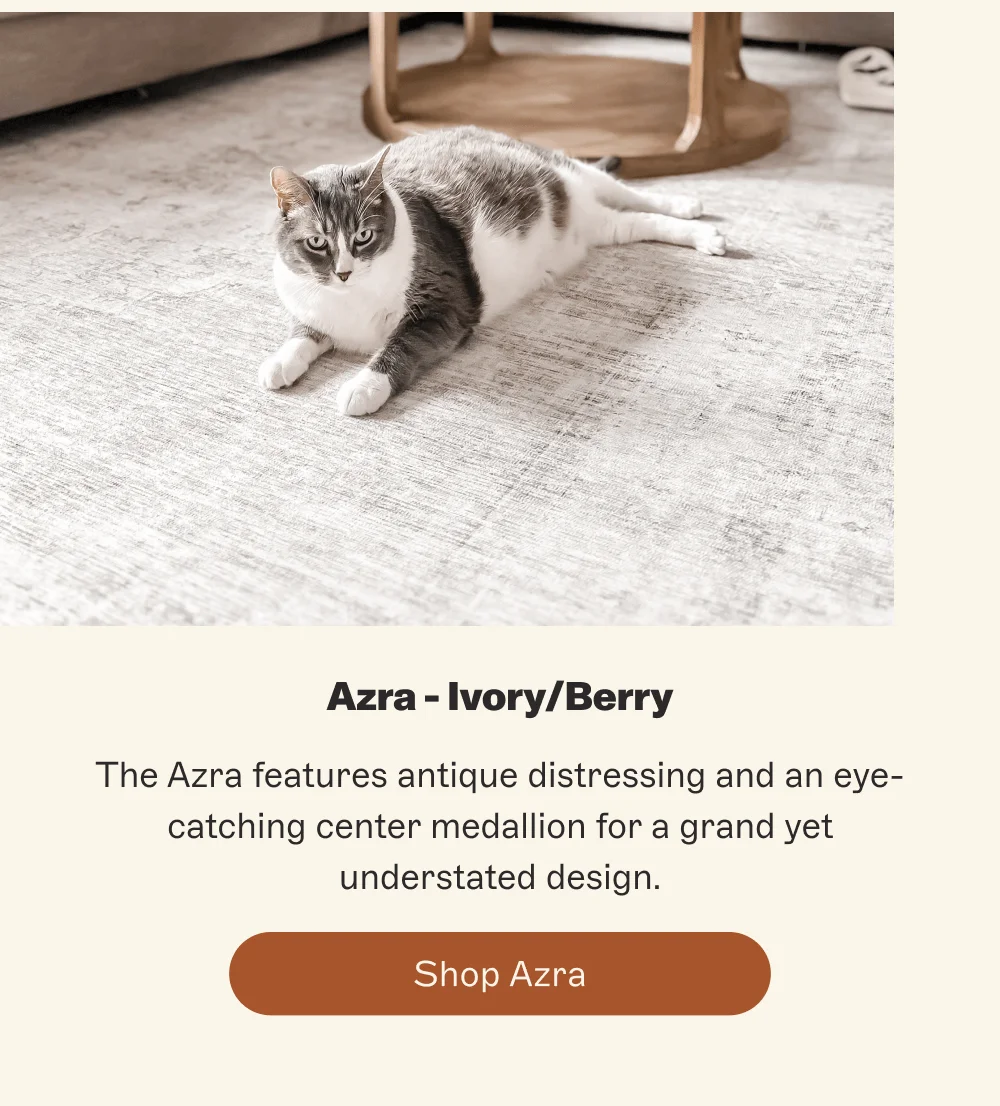 [ Shop Azra ]