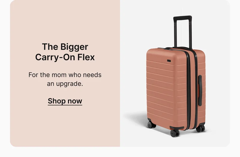 The Bigger Carry-On Flex