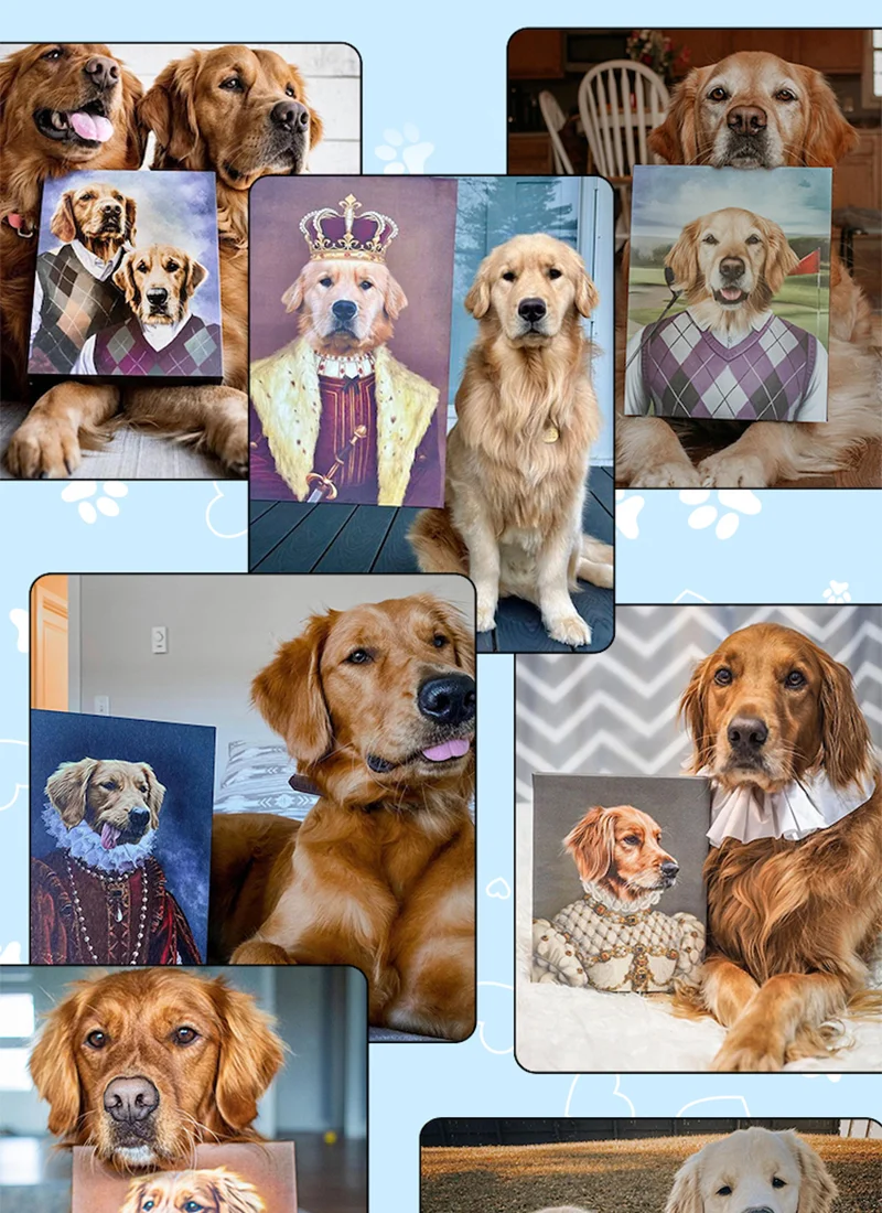 Collage of Golden Retriever portraits