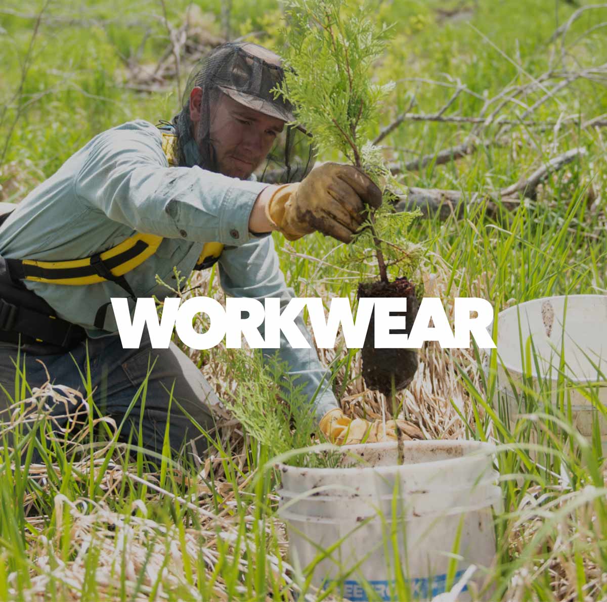 Workwear. A person wearing a mosquito net on their head plants a small tree in a grassy field.