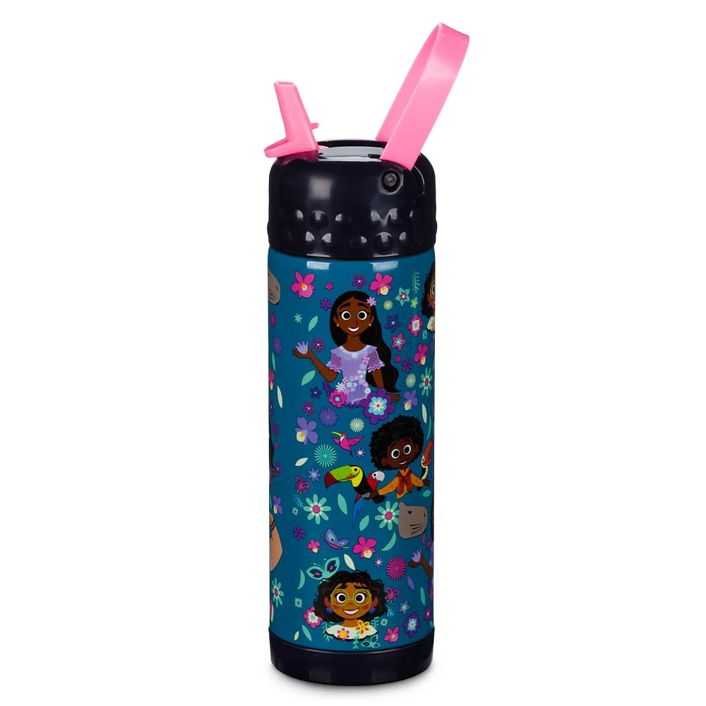 Encanto Stainless Steel Water Bottle with Built-In Straw