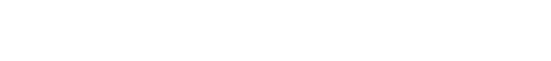 Explore the Collection