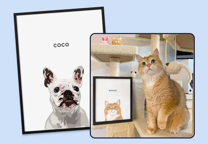 Modern Pet Portrait - One Pet