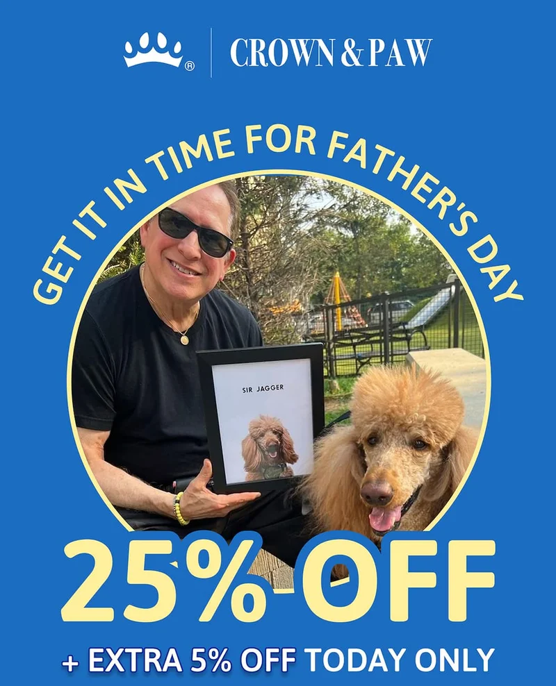 Sub-Heading: 25% OFF + EXTRA 5% OFF TODAY ONLY Heading: Get it in time for Father's Day