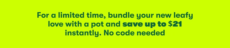 save up to $21