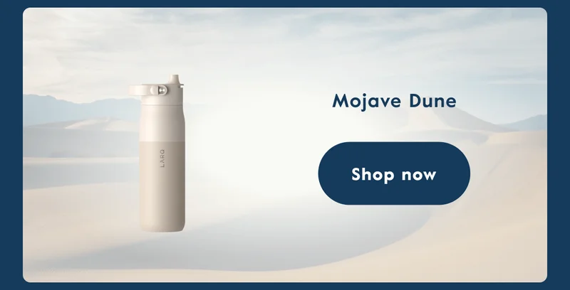 Mojave Dune