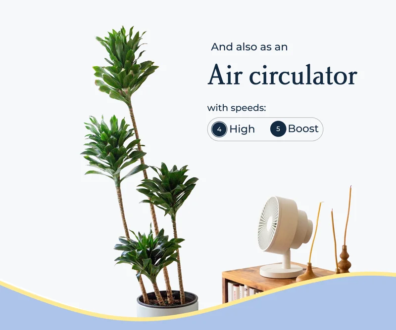 And also as an Air circulator
