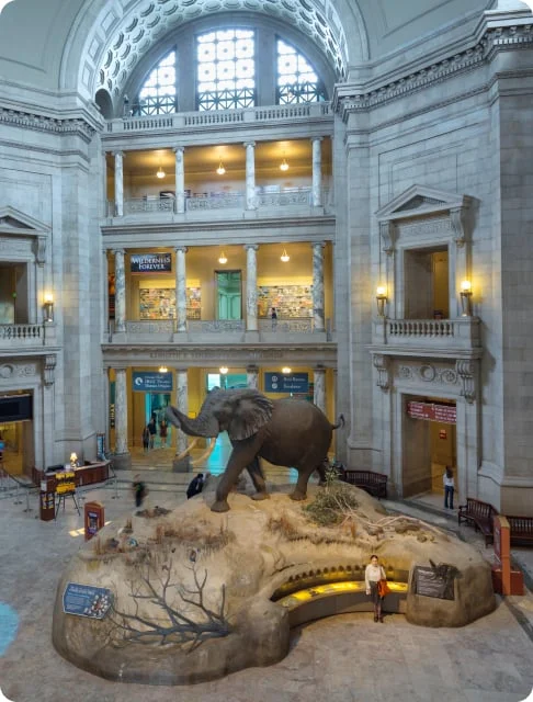 Image description: Museum interior with large elephant statue in the center and grandiose pillars and architecture.