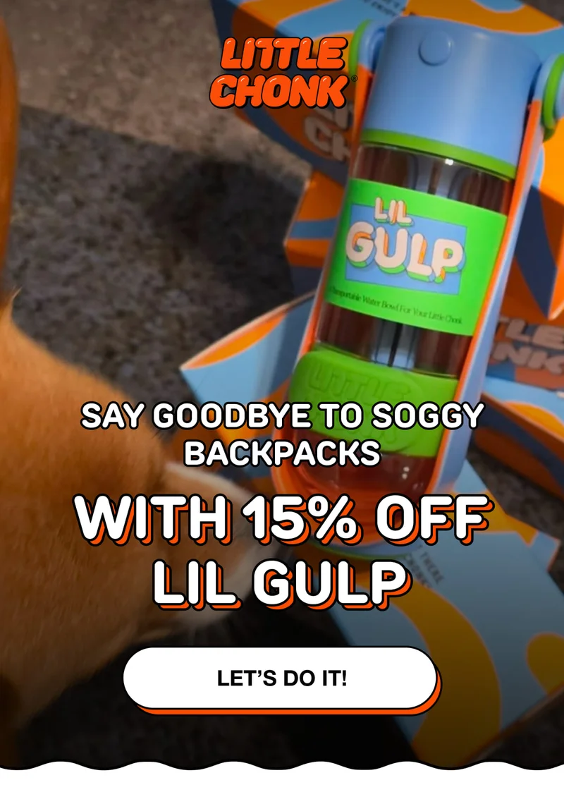 SAY GOODBYE TO SOGGY BACKPACKS