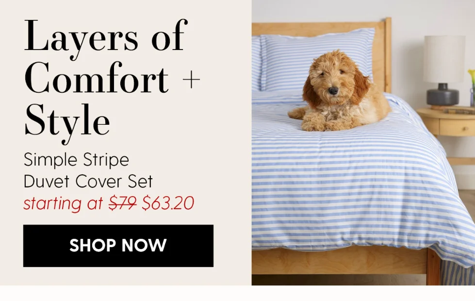 Simple Stripe Brushed Cotton Duvet Cover Set