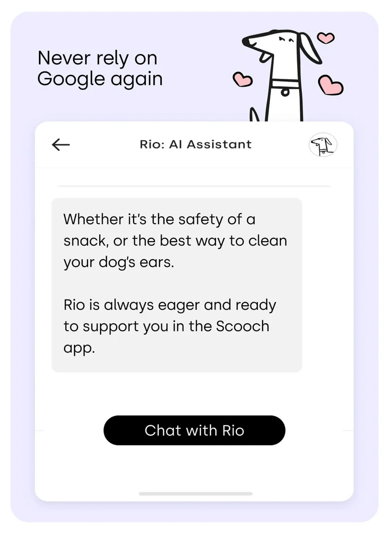 Never rely on google again - Chat with Rio