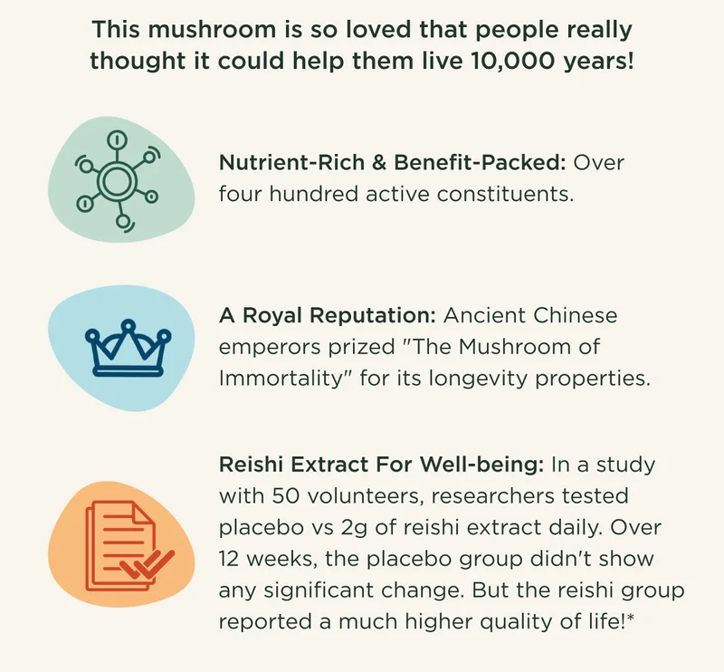 This mushroom is so loved that people really thought it could help them live 10,000 years! Nutrient-Rich & Benefit-Packed: Over four hundred active constituents. A Royal Reputation: Ancient Chinese emperors prized 'The Mushroom of Immortality' for its longevity purposes. Reishi Extract For Well-being: In a study with 50 volunteers, researchers tested placebo vs 2g of reishi extract daily. Over 12 weeks, the placebo group didn't show any significant change. But the reishi group reported a much higher quality of life!*