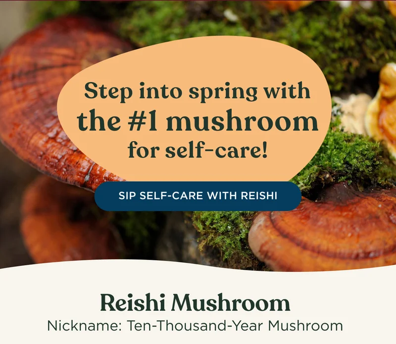 Step into spring with the #1 mushroom for self-care! SIP SELF-CARE WITH REISHI - Reishi Mushroom - Nickname: Ten-Thousand Year Mushroom