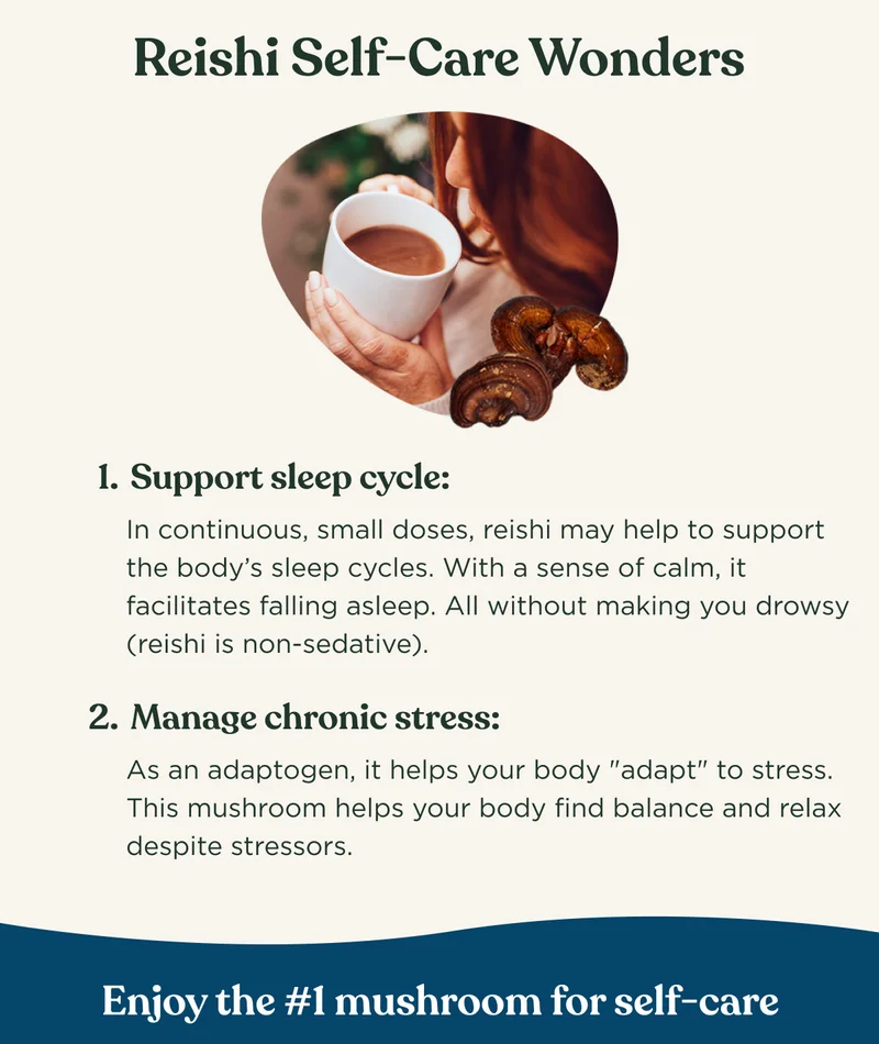 Reishi Self-Care Wonders - 1. Support sleep cycle: In continuous, small doses, reishi may help to support the body's sleep cycles. With a sense of calm, it facilitates falling asleep. All without making you drowsy (reishi is non-sedative). 2. Manage chronic stress: As an adaptogen, it helps your body 'adapt' to stress. This mushroom helps your body find balance and relax despite stressors. - Enjoy the #1 mushroom for self-care