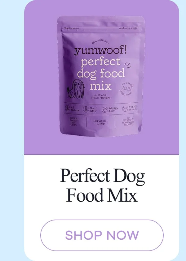 Perfect Dog Food Mix | shop now
