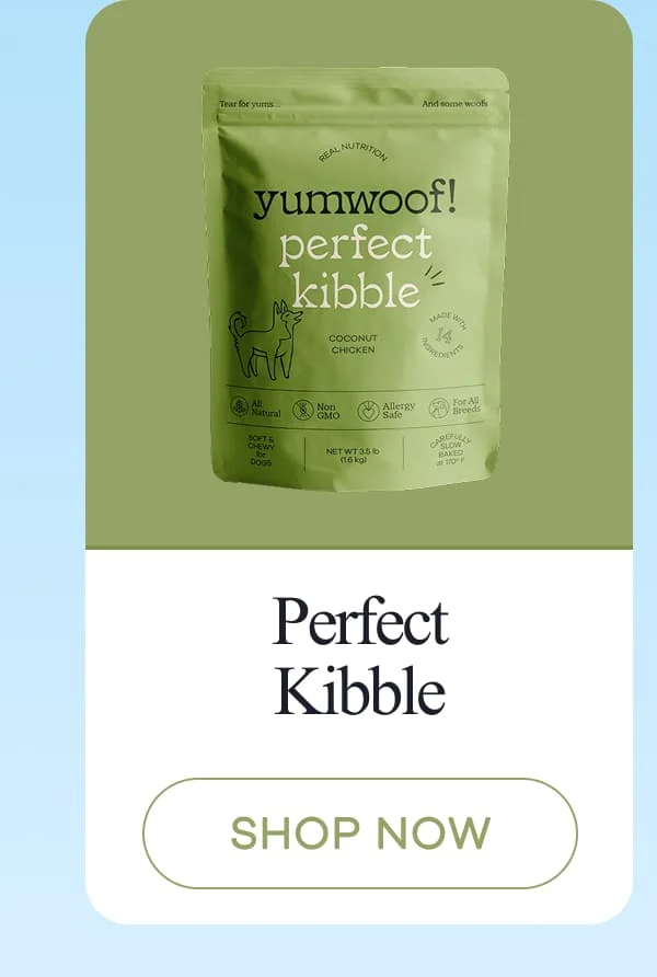 Perfect Kibble | shop now