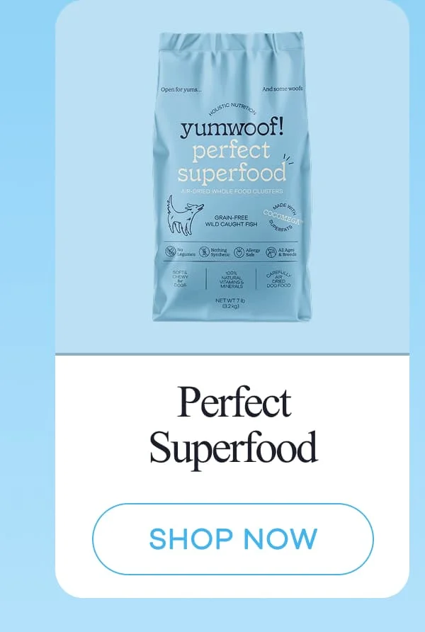 Perfect Superfood | shop now
