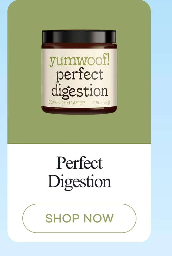 Perfect Digestion | shop now
